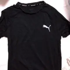 ドライtシャツ Tシャツ