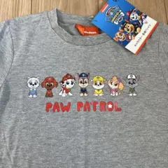 パウパトロール 100