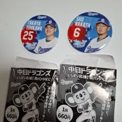 中日ドラゴンズ　缶バッジくじ　中田　石川　セット