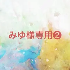 みゆ様確認専用ページ❷