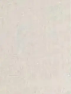 とらちゅう様専用 地獄先生ぬ〜べ〜 1 初版