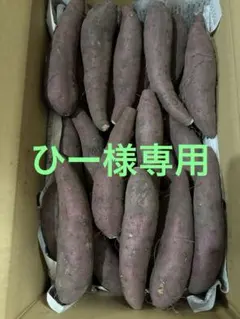 ひー様専用