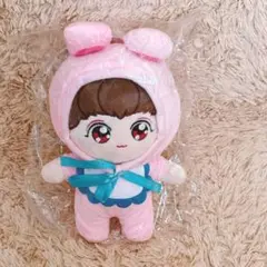 BTS ジョングク ぬいぐるみ グク マスター 20cmドール レア