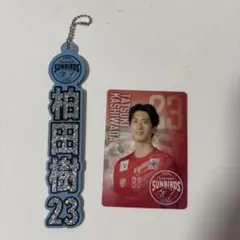 サントリーサンバーズ大阪 柏田樹 グッズ 7点セット - メルカリ