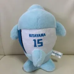 浅間大基選手8北海道日本ハムファイターズ ぬいぐるみ - メルカリ