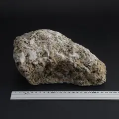 さざれ石（石灰質角礫岩 W22.5cm/D21.4cm/H14.8cm）081 2025年最新】#石灰質角礫岩の人気アイテム - メルカリ