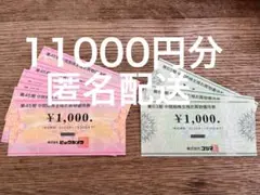ビックカメラ コジマ 株主優待券 11000円分