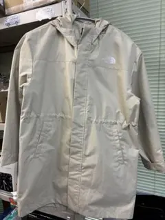 ザノースフェイス 100