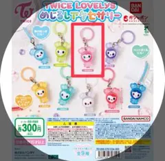 TWICE LOVELYS MOVELY モモ　めじるしアクセサリー