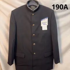 Item thumbnail for item a357b061-c302-4f21-b76d-ebd09e4e74ed