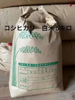 令和7年♦️5㎏精米】農薬不使用✴︎最高級希少米✴︎新潟県長岡産