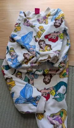 Item thumbnail for item bdef6da5-4219-4711-ba4a-03296a8678ee