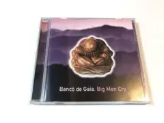 Banco de Gaia / Big Men Cry