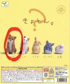 2026年最新】豆しばグッズの人気アイテム - メルカリ