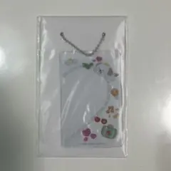 riize アントン ラントイ フォトカードスリーブ