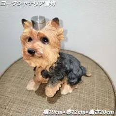 2025年最新】ヨークシャーテリア 置物の人気アイテム - メルカリ
