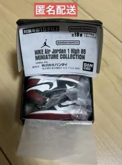 NIKE Air Jordan 1 ナイキ BLACK TOE ガチャ