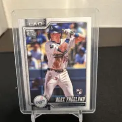 Item thumbnail for item 3276606b-a2c0-4736-bd45-f5185559b045