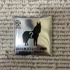 【新品未開封】 G1レース優勝馬アクリルキーホルダー