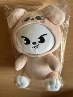 IVE MINIVE SCHOOL ハグバッグぬいぐるみ リズ IVE MINIVE SCHOOL ハグバッグぬいぐるみ リズ - メルカリ