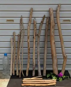 Item thumbnail for item 67bdeea7-0d76-4d76-a5e8-b3e6a910ceaa