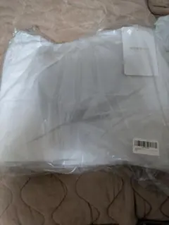 Item thumbnail for item 408f2caf-453c-434b-9a9a-35781bf949a9