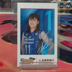 Item thumbnail for item b973cc37-7216-4cf0-a3a5-fd29c12ad41a