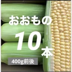 616【ご購入後収穫】400g以上！スイートコーン（おおもの）　10本のサムネイル