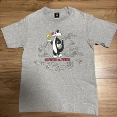 USA製　ヴィンテージ　ワーナー　Tシャツ　古着