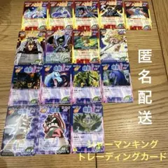 最終価格　シャーマンキング トレーディングカード　精霊　人間霊　16枚セット