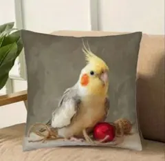 쿠션 커버, 앵무새 Q, 45cm, 조류 잡화, 하나코