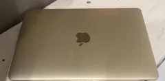 Apple MacBook (12-inch, 2017)