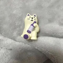 コンコンブル　藤サイダー　猫☆concombre まったり