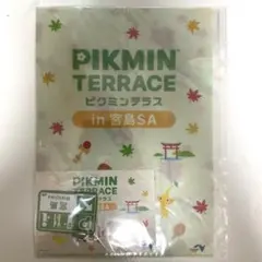 ピクミン　テラス　宮島SA限定　フロントガラス用サンシェード　未使用 ピクミン テラス 宮島SA限定 フロントガラス用サンシェード 未使用