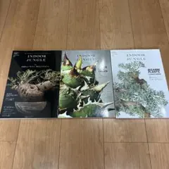 INDOORJUNGLE セット売り