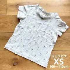 【gelato pique 】パームツリー柄 Tシャツ XS100〜110cm