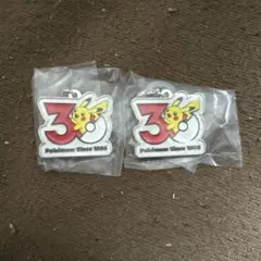 ポケモン 30周年メタルチャームマスコット ピカチュウ 2個