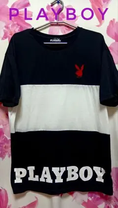 プレイボーイ 切り替え ボーダー Tシャツ 刺繍ロゴ　Lのサムネイル