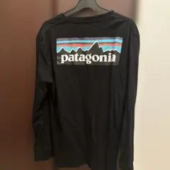 パタゴニア 長袖tシャツ