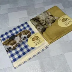 Item thumbnail for item ec90a686-4583-4f56-8bb5-ea4242098082