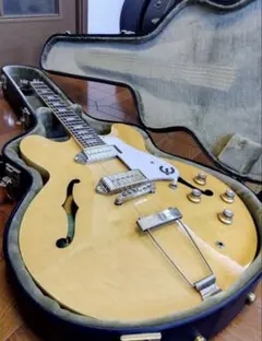 2026年最新】epiphone casino ケースの人気アイテム - メルカリ