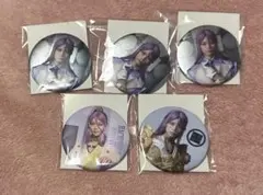 ミュージカル刀剣乱舞の 刀ミュ 蜂須賀虎徹 缶バッジ