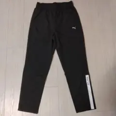 プーマ　パンツ　レディースМ