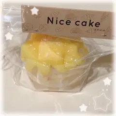 Nice cake マンゴー