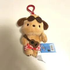 ABC ハワイ　日焼けキティ　ポチャッコ　キーホルダー　ぬいぐるみ