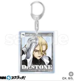 2025年最新】cドクターストーンの人気アイテム - メルカリ