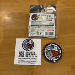 ポケモン ポケふた マンホール 缶バッジ アローラロコン タマザラシ