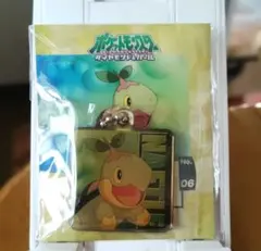 ポケットモンスター ナエトル メタルマスコット キーホルダー＋カードのサムネイル