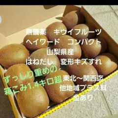 ⚪2キウイフルーツ　平ら　変形　箱いっぱい　コンパクト　山梨県産
