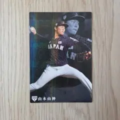 大谷翔平 NPB記録 164km/h 証明書 北海道日本ハムファイターズ - メルカリ